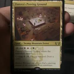 Magic: The Gathering Land Card Lot. - Image 4