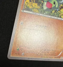 Pokemon Card Larvitar 241/XY-P Gym Pack Promo Japanese - Image 4