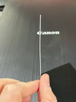 Pokemon Swampert EX XY55 Holo Black Star Promo - Image 4