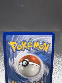 Pokemon TCG Gordie Evolving Skies 223/203 Secret Rare Full Art Rainbow Holo NM - Image 5