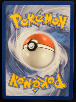 Mega Sharpedo ex #61/94 - Phantasmal Flames - Pokemon TCG English - NM - Image 2