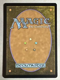 MTG / Yavimaya Coast / DMU / #382 / FOIL (Borderless) / Rare / NM - Image 2