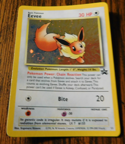 Eevee "Swirl" Holo Pokemon Black Star Promo Card #11 Pokemon League 2001 - Image 2