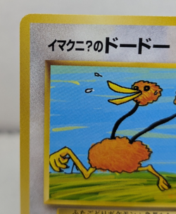ImakuniU’s Doduo No.084 Japanese Challenge From The Darkness 1999 Pokemon TCG NM - Image 2