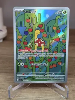 Shuckle 136/132 - Pokemon Tcg Mega Evolution Illustration Rare - Image 3
