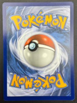 Charizard VSTAR SWSH262 Pokemon TCG Holo Black Star Promo NM Fresh Pull - Image 2