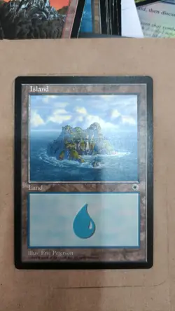 MTG Island (207), Portal MP - Image 1