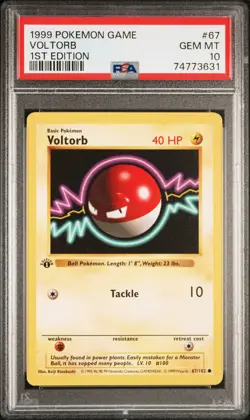 PSA 10 Voltorb 1st Edition Base Set Shadowless 67/102 1st Edition Pokemon Card - Image 1