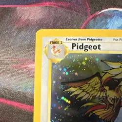 Pokemon Pidgeot Holo Rare 14/130 Base Set 2 WOTC Vintage NM - Image 2