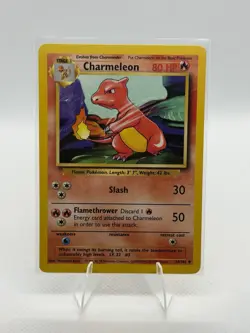 Pokemon TCG Charmeleon Base Set, Unlimited Uncommon Card #24/102 - Image 1