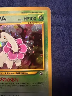 Meganium Holo Japanese Neo Premium File 1 Promo Pokemon - Image 5