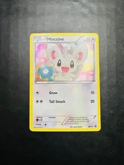 Pokemon TCG Single Card Minccino Cosmos Holo Promo BW13 Black & White 2011 - Image 1