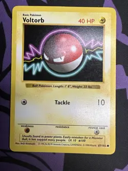 Voltorb, 66/102, Base Set (Shadowless), Pokemon Card TCG - Image 1