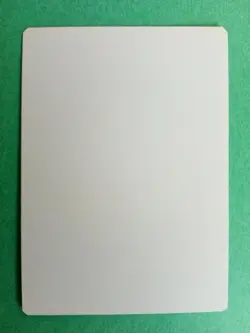 MTG Magic Dream Cache Signed Artist Proof x1 Tempest Phil Foglio - Image 2