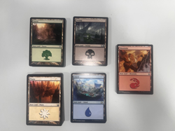 Magic: The Gathering Basic Land Lot – 100 Cards (20 of Each Type) – MTG - Image 1