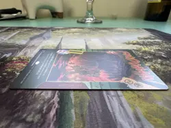 Food Chain MTG NM NonFoil MTG Secret Lair - Image 5