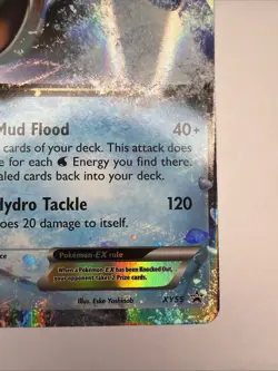 Pokemon Swampert EX Black Star Promo Holo Rare TCG Card XY55 - NM - Image 5