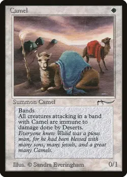 Camel Arabian Nights MP MTG - Image 1