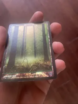 MTG Unhinged Forest Full Art Foil NM/LP Condition - Image 3