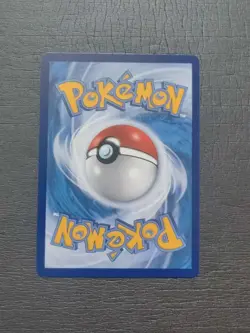 2024 Pokemon TCG Chinese Card PROMO 123/S-P Eevee.GYM SE58 - Image 2