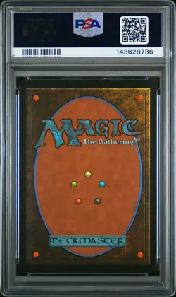 2025 MTG MARVEL'S SPIDER-MAN EXTENDED ART-FOIL #0249 HIDE ON THE CEILING PSA 9 - Image 2