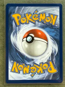 Squirtle 148/142 NM- Stellar Crown Illustration Rare Holo Pokemon - Image 2
