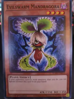 Yu-Gi-Oh TCG Evilswarm Mandragora EN01-EN012 1st Edition Regular Common Card NM - Image 1