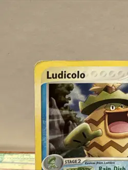 Pokemon TCG 2004 Ludicolo #020 Black Star Promo Holographic - Image 2