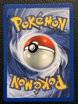 Pokemon Card - Igglybuff #36 WoTC Black Star Promo MINT - Image 4