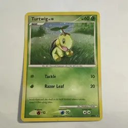 Turtwig DP01 Diamond and Pearl Holo Pokemon MP - Image 1
