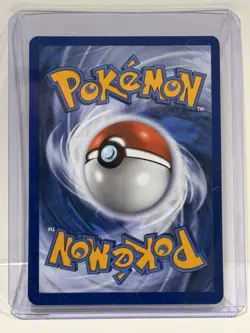 Pokemon Mega Evolution Phantasmal Flames Dewgong 097/094 Illustration Rare IR - Image 2