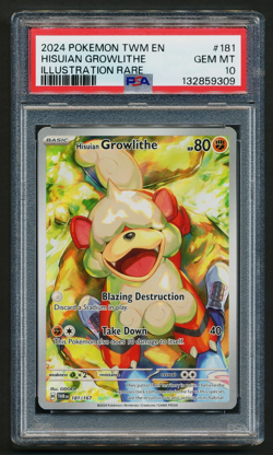 Hisuian Growlithe 181/167 Illustration Rare Pokemon Twilight Masquerade PSA 10 - Image 1