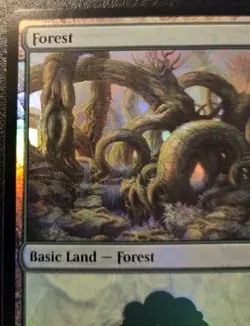 Forest 0273 Foil Land Lorwyn Eclipsed Magic: The Gathering - Image 2