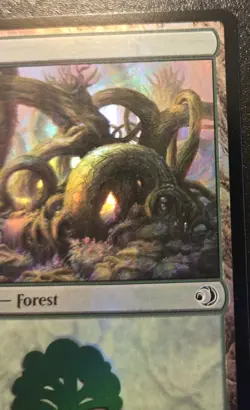 Forest 0273 Foil Land Lorwyn Eclipsed Magic: The Gathering - Image 3