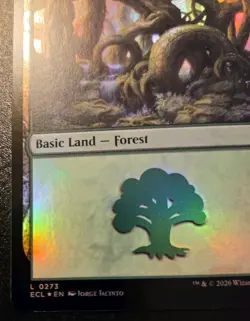 Forest 0273 Foil Land Lorwyn Eclipsed Magic: The Gathering - Image 4