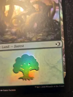 Forest 0273 Foil Land Lorwyn Eclipsed Magic: The Gathering - Image 5