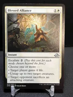 Blessed Alliance MTG #013/205 - Image 1