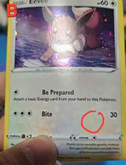 Pokemon Eevee Foil Holo Black Star Promo TCG SWSH127 SWIRL &Holo Bleed - LP - Image 5