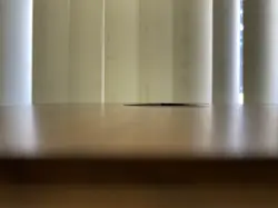 Bitterbloom Bearer x1 MP **see photos, description** Lorwyn Eclipsed MTG - Image 5