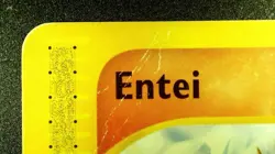 Entei 10/147 NonHolo Pokemon Aquapolis 2003 Wotc Vintage Rare MP/LP - Image 4