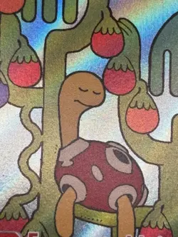 Shuckle 136/132 - Mega Evolution Illustration Rare Pokemon TCG - LP Card - Image 3