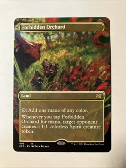 MTG / Forbidden Orchard / 2X2 / #405 / Regular (Borderless) / Rare / NM - Image 1