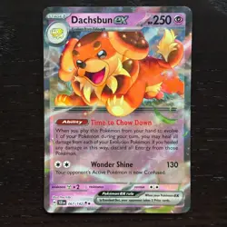 Dachsbun ex 067/142 Pokemon Stellar Crown Scarlet & Violet Double Rare Holo NM - Image 1