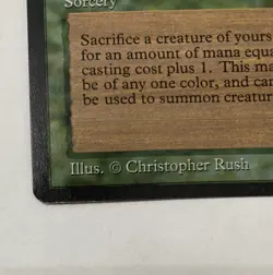 Metamorphosis Arabian Nights - NM - Green - MTG Magic the Gathering - Image 2