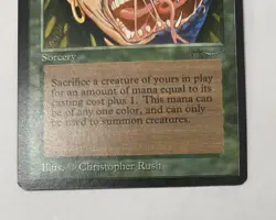 Metamorphosis Arabian Nights - NM - Green - MTG Magic the Gathering - Image 5