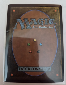 MTG, Vivi Ornitier-Final Fantasy Regular NM - Image 2