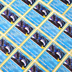 Kyogre 003/025 Pokemon TCG Celebrations 25th Anniversary Holo Lot of 23 NM Cards - Image 1