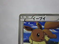 Eevee & Pikachu 235/BW-P Pokemon 7-Eleven Promo Card 2013 Japanese 3/Used - Image 3