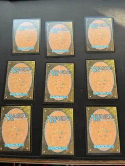 Hare Apparent Foundations Regular X9 - Image 3