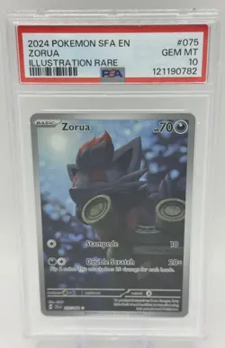 ZORUA 2024 POKEMON SHROUDED FABLE ILLUSTRATION RARE 075/064 PSA 10 Q0004 - Image 1